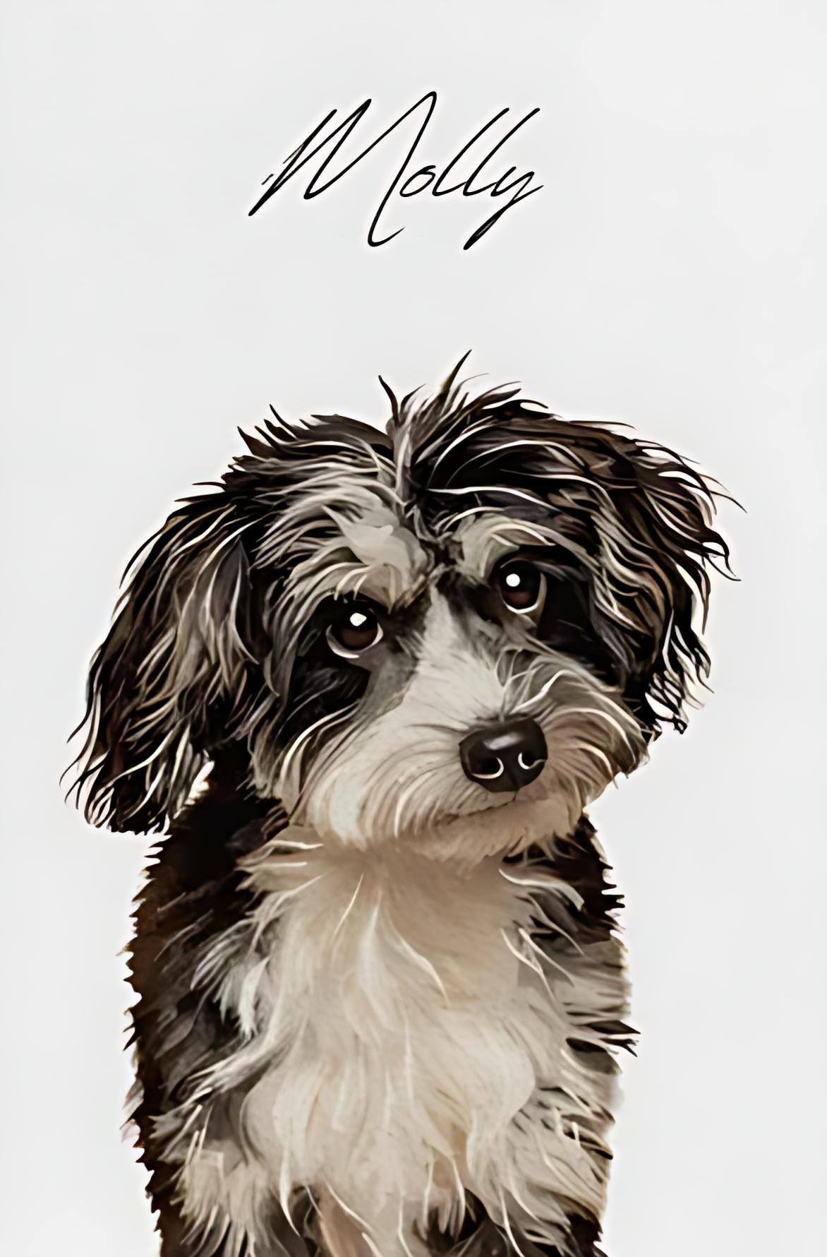 Husdjursporträtt – Skapat från Ditt Foto 🎨🐾